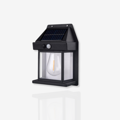 PowerNexus™ - Outdoor Wall Solar Motion Sensor Light